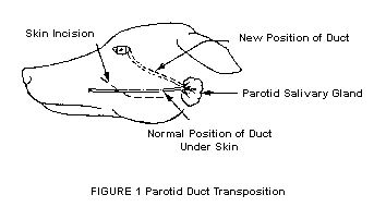 AOC-Pet-Eye-Info_KCS