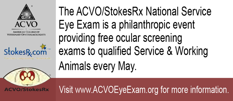 National-service-animal-eye-exam